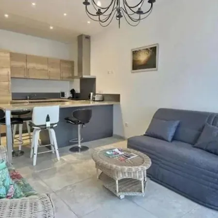 Bel Ppartement En Plein Centre